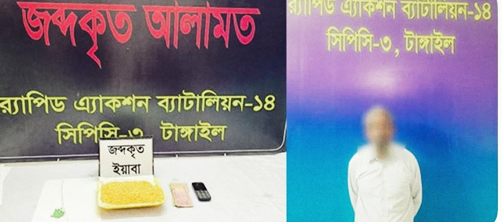 টাঙ্গাইলের কালিহাতীতে র‍্যাবের বিশেষ অভিযানে ইয়াবাসহ মাদক কারবারি গ্রেফতার