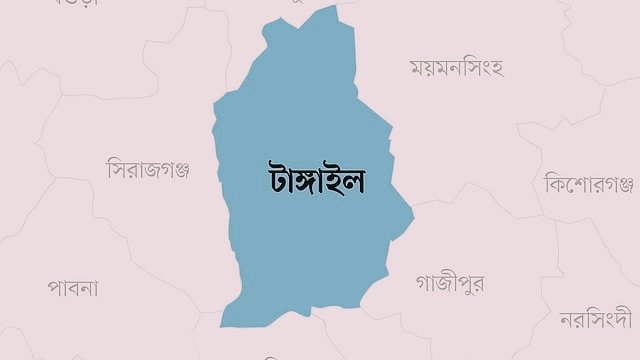 টাঙ্গাইলের পাঁচটি আসনে বিএনপির মনোনয়ন নিয়ে দ্বন্দ্ব