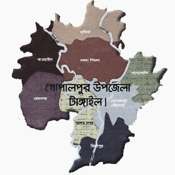 ১০ ডিসেম্বর: গোপালপুর হানাদারমুক্ত—টাঙ্গাইলের ইতিহাসে গৌরবোজ্জ্বল অধ্যায়