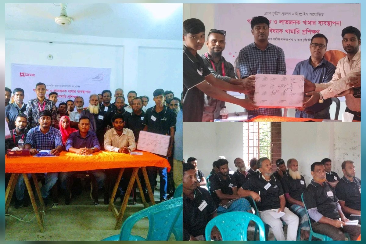 খামার পর্যায়ে দক্ষতা ও আয় বৃদ্ধি নিশ্চিত করতে গোপালপুরে ব্র্যাকের খামারি প্রশিক্ষণ